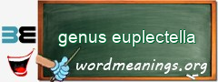 WordMeaning blackboard for genus euplectella